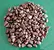 Decorative polished pebbles
